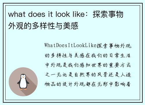 what does it look like：探索事物外观的多样性与美感